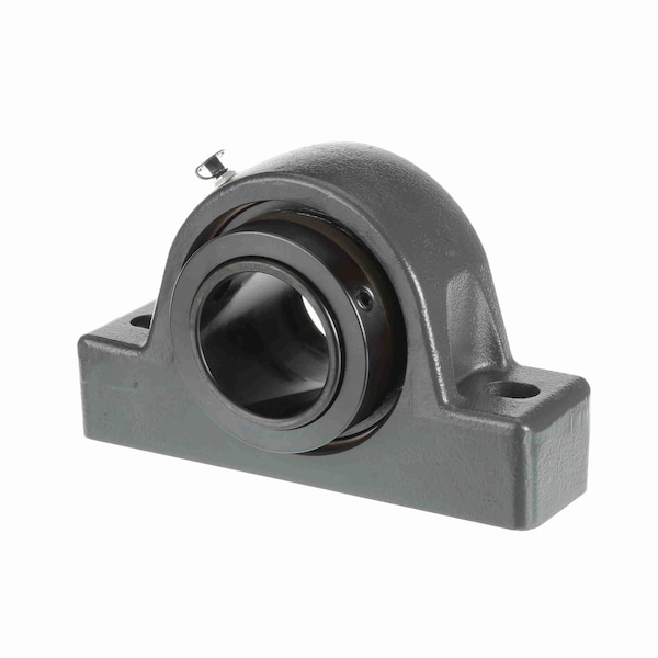 MountedCast Iron Two Bolt Pillow Block Spherical Roller, USRB5000-215-C